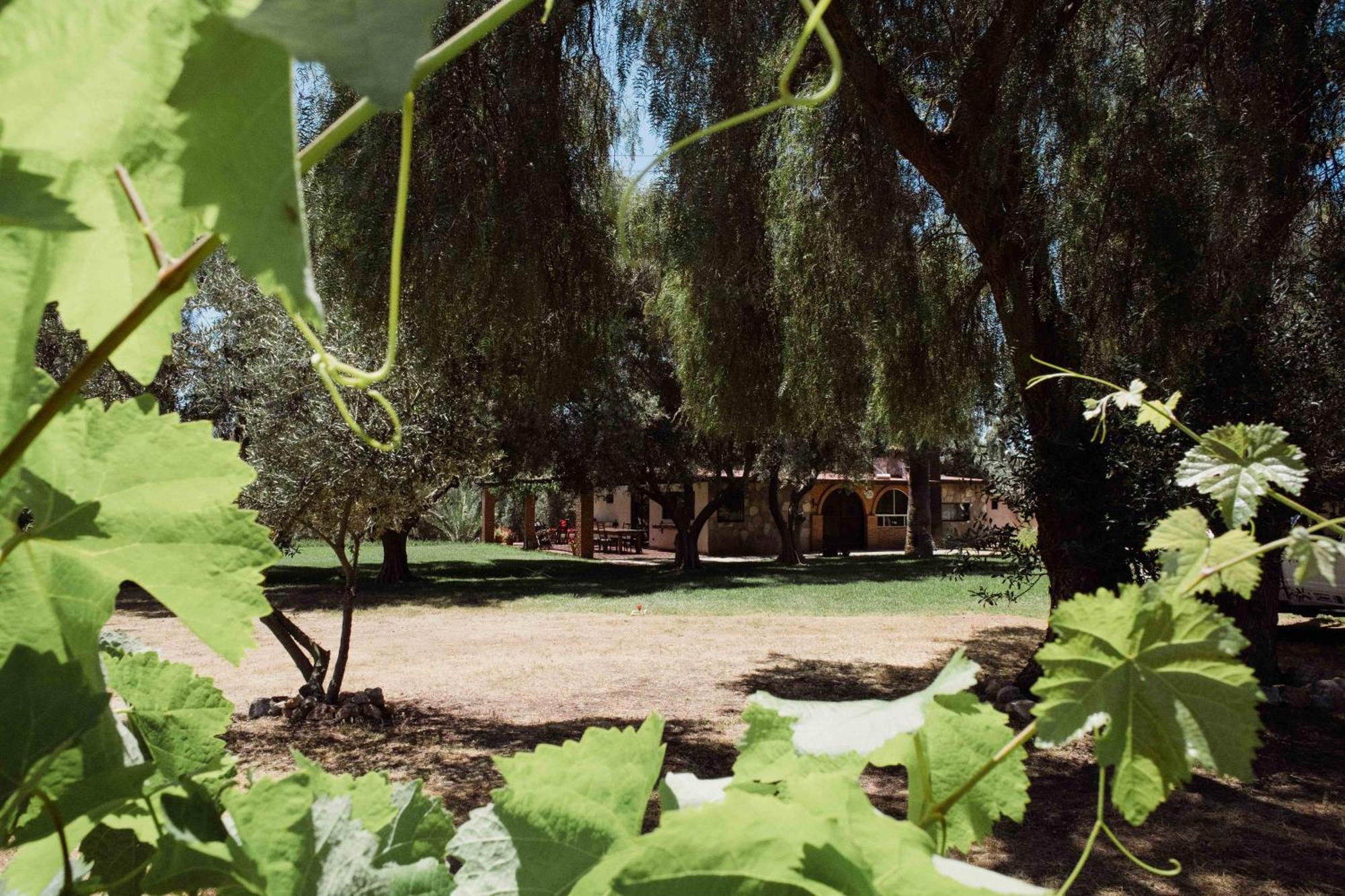 Rancho Toros Pintos Vila Valle de Guadalupe Quarto foto